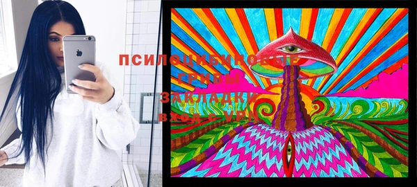 спайс Алексин
