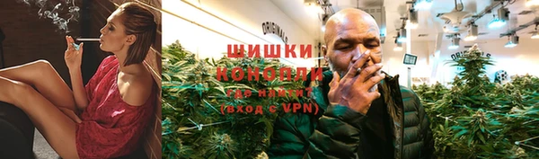 спайс Алексин