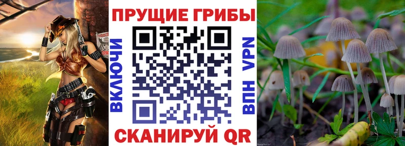 маркетплейс телеграм  Ленинск  Псилоцибиновые грибы ЛСД 